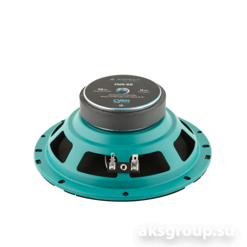 Aspect CWS-65