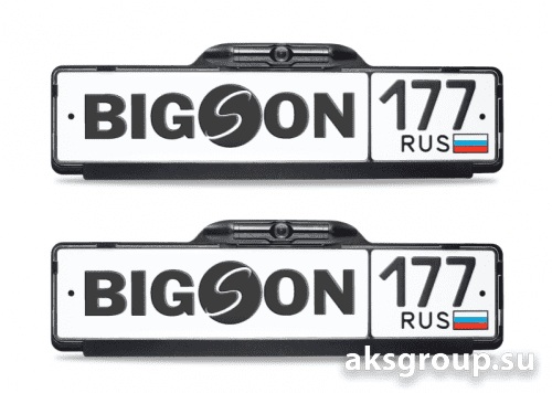 Bigson iCam-2000