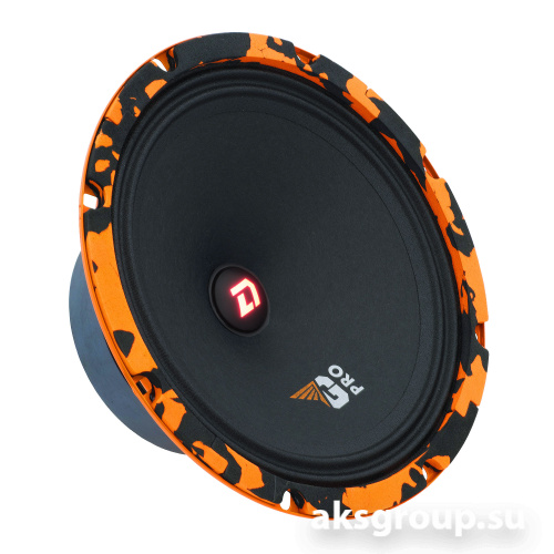 DL Audio Gryphon PRO 200 SE