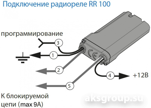 Pandora RR-100