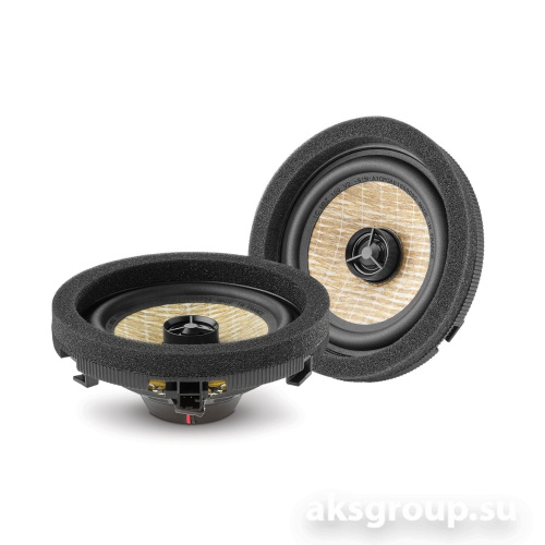 Focal IC MBZ 100 V2