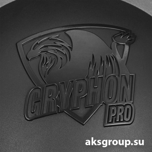 DL Audio Gryphon PRO 10 V3