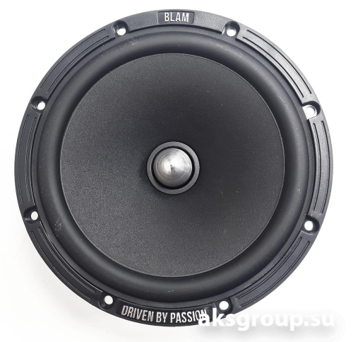 BLAM W165R2