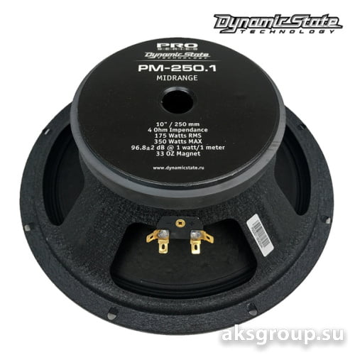 Dynamic State PRO PM-250.1