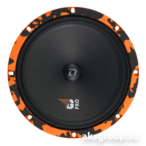 DL Audio Gryphon PRO 200 SE