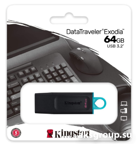 Kingston 64GB