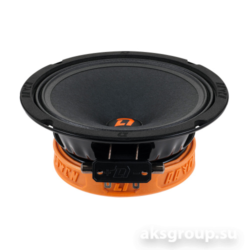 DL Audio Raven 165 V2