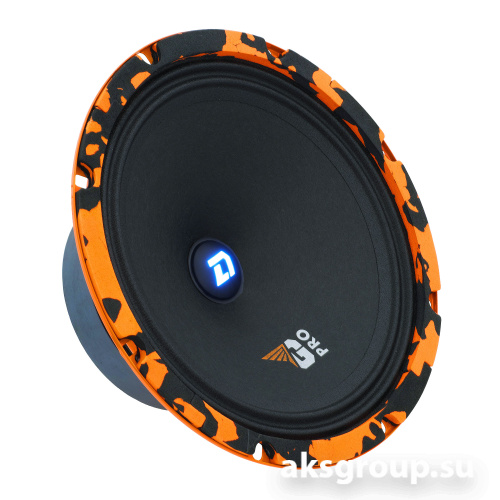 DL Audio Gryphon PRO 200 SE