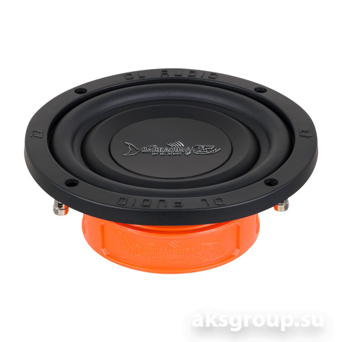 DL Audio Barracuda 6.5 Flat
