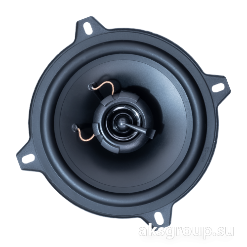 AMP MASS 502