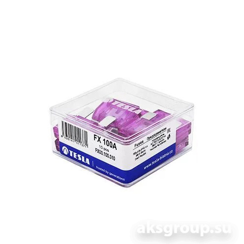 TESLA FX100A.10