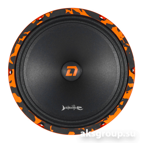 DL Audio Barracuda 250