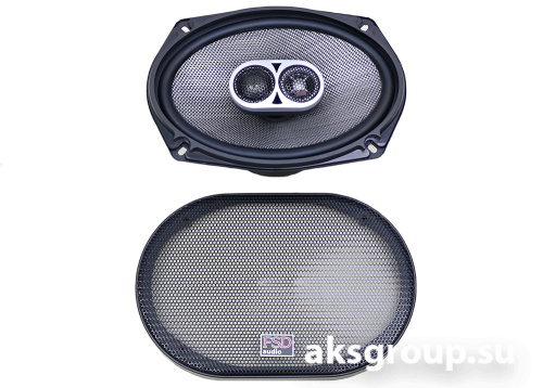 FSD audio MASTER X690