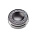 Focal TNF (TWVE1010)