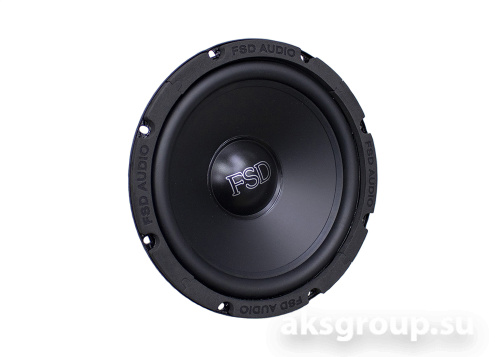 FSD audio MASTER WF 8