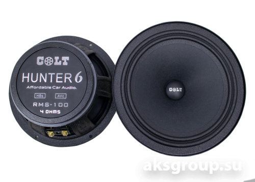 COLT HUNTER 6