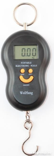 RUNIS Весы-кантер 6-140