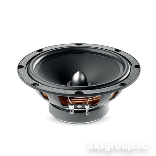 Focal ASE-165