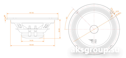 DL Audio Gryphon PRO 165 NEO