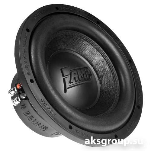 AMP MASS 300 10D2 V2
