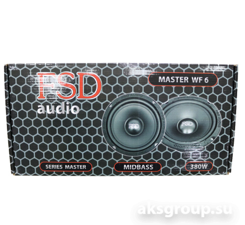 FSD audio MASTER WF 6