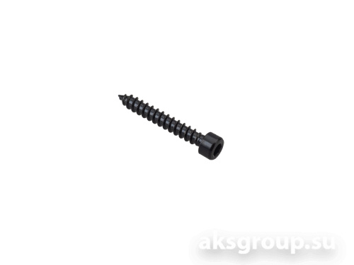 AurA WGS-535B