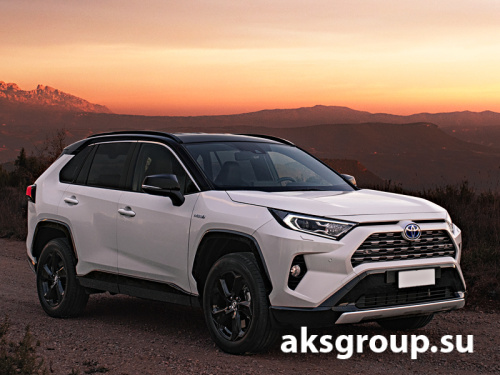 DRAGON TOYOTA RAV-4