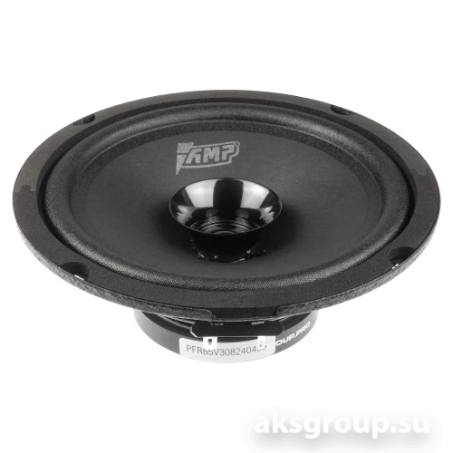 AMP PROMO FR 65 ver.3