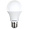 Лампа Smartbuy A60-11W/3000/E27 ( SBL-A60-11-30K-E27 )