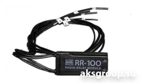 Pandora RR-100