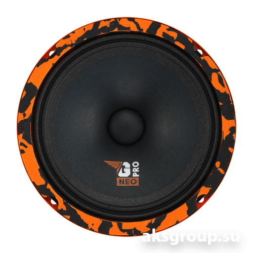 DL Audio Gryphon PRO 165 NEO