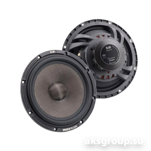 BLAM WS8MULTIX