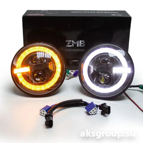 ZMB G0466