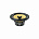 Focal EC165K EVO