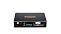 GOLDHORN DSP10