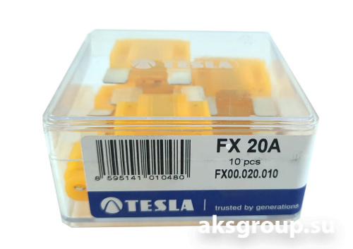 TESLA FX20A.10
