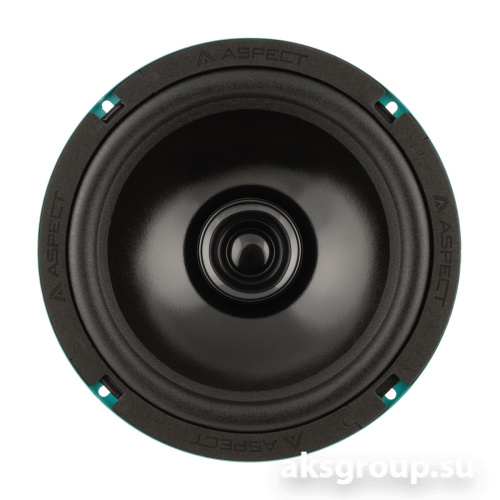 Aspect CWS-80