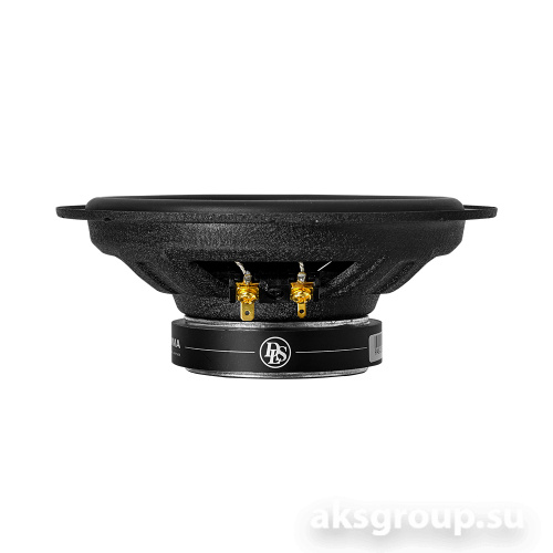 DLS PA6