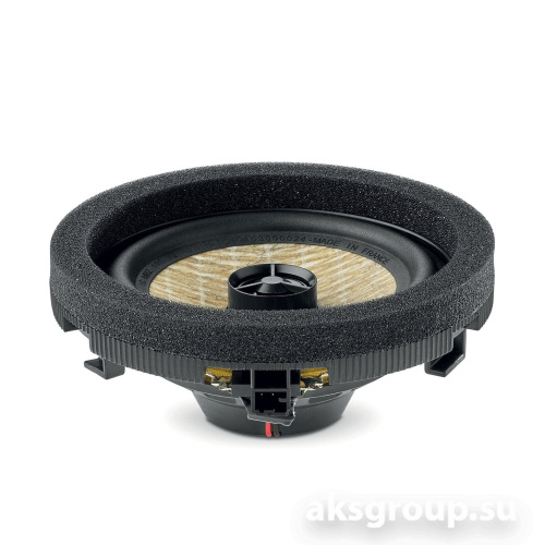 Focal IC MBZ 100 V2