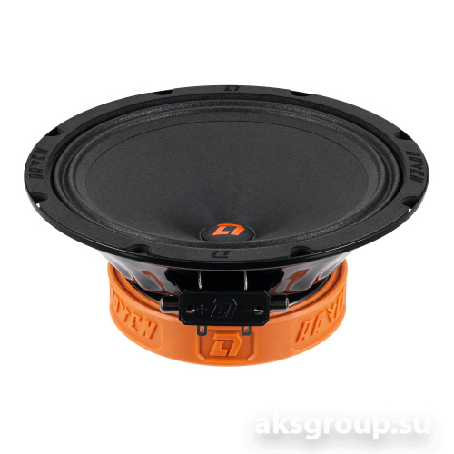 DL Audio Raven 200 V2