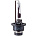 XENITE PREMIUM D2R 5000K