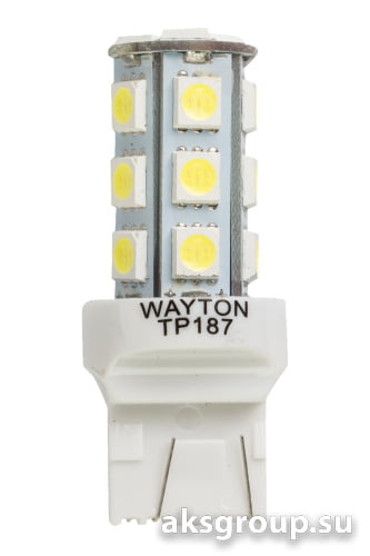 WAYTON  T20 W21/5W