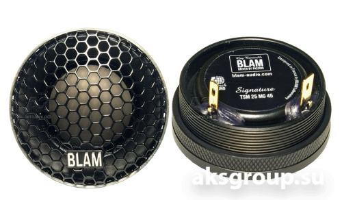 BLAM TSM25MG45