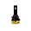 LED TIV POLE STAR
