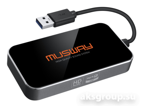 MUSWAY BTS HD
