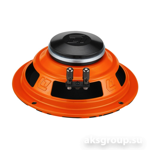 DL Audio Gryphon PRO 165 NEO