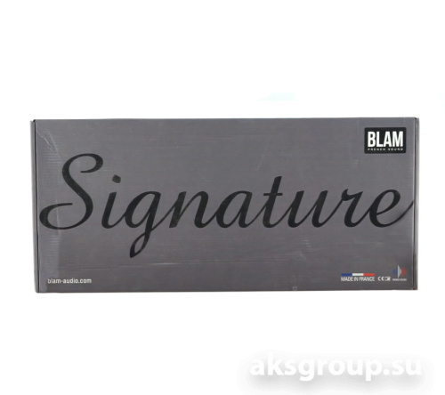 BLAM WS6300