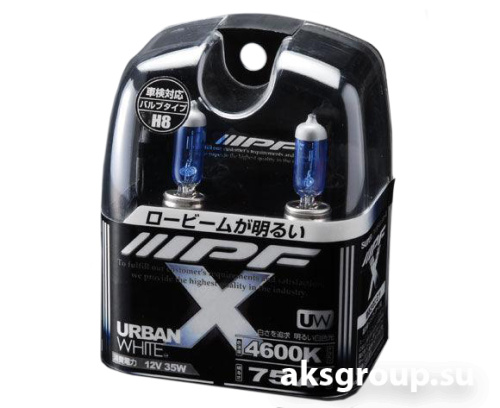 IPF X URBAN WHITE H8