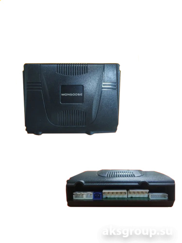 Mongoose 600 Security