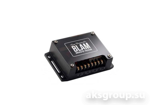 BLAM S165300